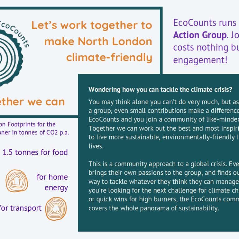 EcoCountsPamphlet 768x768