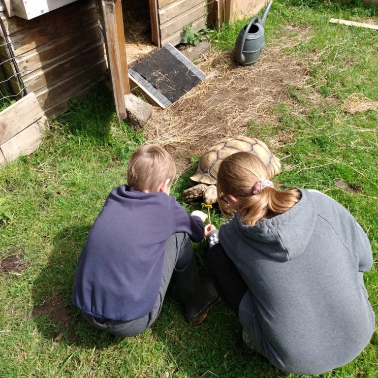 IMG 20210806 WA0005 768x768