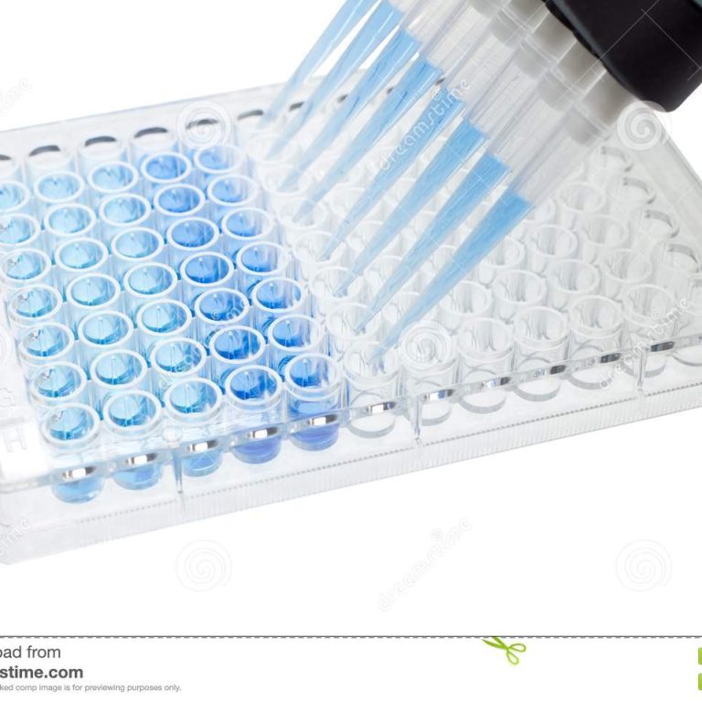 multichannel pipette test sample wells plate blue solution 47881809 768x768